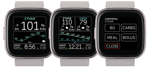 Циферблат Sentinel для часов Fitbit